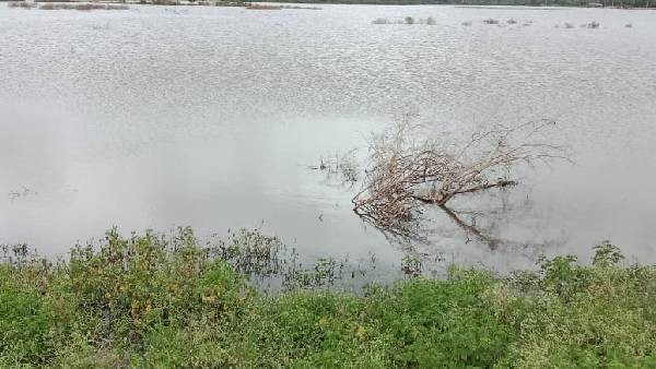 ರೋಗ ಹರಡಲು ವಯಸ್ಸಿನ ತಾರತಮ್ಯವಿಲ್ಲ