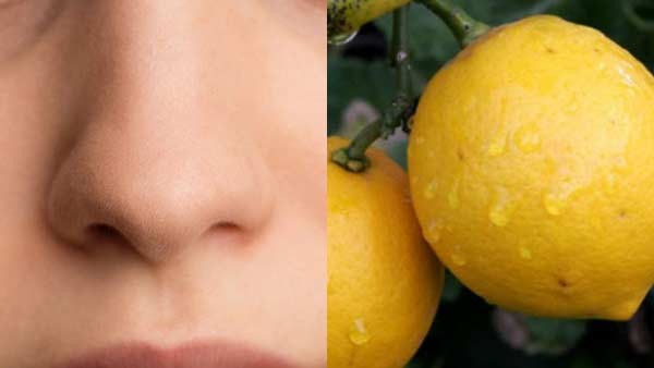  ನಿಂಬೆ ಹಣ್ಣಿನ ಪಾನಕಕ್ಕೆ ಒತ್ತು ನೀಡಿ