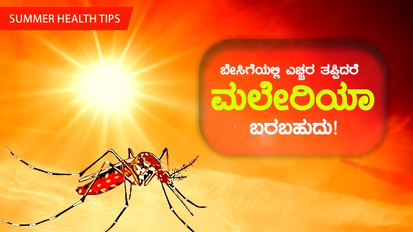  ಸೊಳ್ಳೆಗಳೆಷ್ಟು ಅಪಾಯಕಾರಿ ಗೊತ್ತಾ?