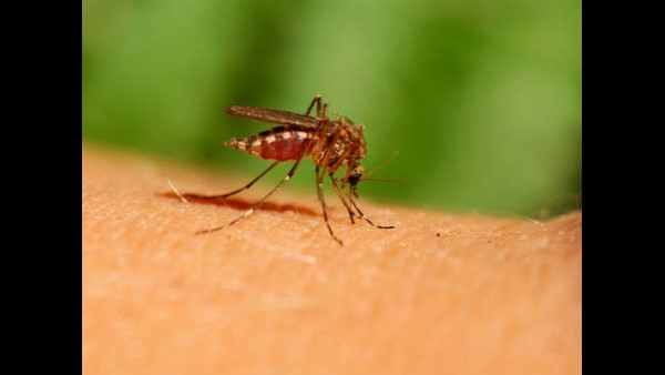  ಆರೋಗ್ಯದತ್ತ ಕಾಳಜಿ ವಹಿಸೋಣ