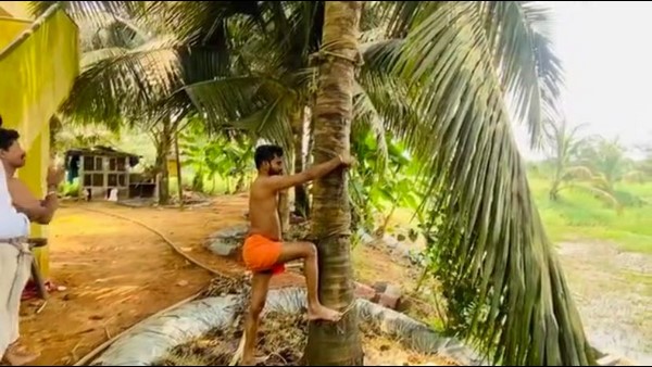 Udupi: Pranavananda Swamiji Climbed Pam Tree to Collect Neera; Urges Govt to Give Justice to Community Udupi: Pranavananda Swamiji Climbed Pam Tree to Collect Neera; Urges Govt to Give Justice to Community