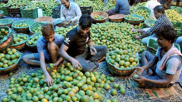 120 ರೂಪಾಯಿಗೆ ಒಂದು ಡಜನ್ ನಿಂಬೆ ಹಣ್ಣು 