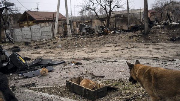 Russia Ukraine War Day 42: Here Are the 10 Updates on the Present Situation in Kannada Russia Ukraine War Day 42: Here Are the 10 Updates on the Present Situation in Kannada