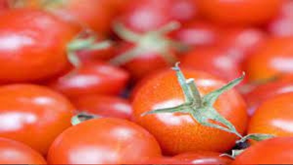 Tomatoes price is rising day by day in Bengaluru