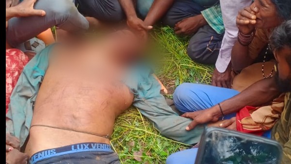  Chikkamagaluru: Elephant attacks on coffee plantation workers, one dead