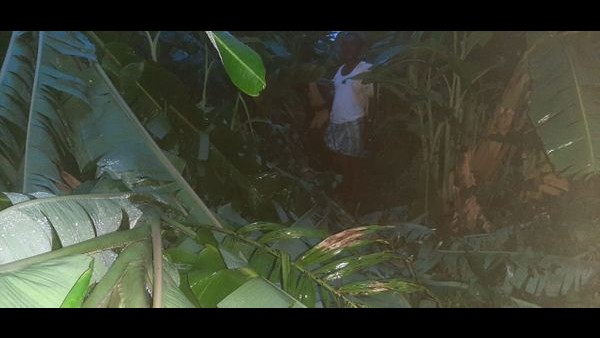 ಅಧಿಕಾರಿಗಳ ಸ್ಪಂದನೆ 