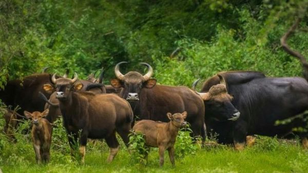 ಕೆರಗಳಿಗೆ ನೀರು ಹರಿದು ಬಂದಿದೆ