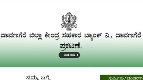 ವಾಹನ ಚಾಲಕರು, ಕಿರಿಯ ಸೇವಕರು