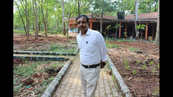 ಬೆಳೆಯುತ್ತಿವೆ ಚಿಟ್ಟೆಗಳನ್ನು ಆಕರ್ಷಿಸುವ ಸಸ್ಯಗಳು 