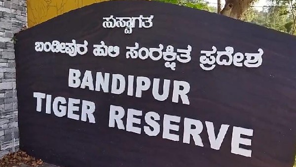 Wild Animals Troubled at Bandipur Forest Area As Tourists Interested on Clicking Photos