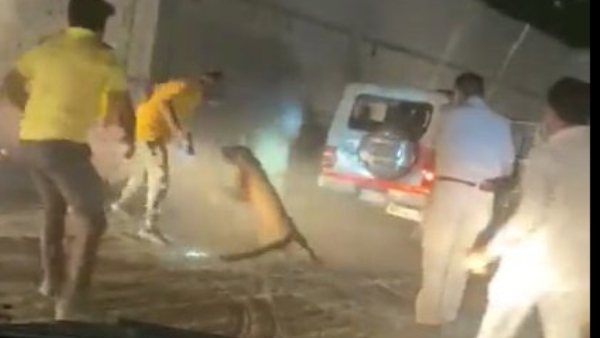 Salute to bravery and courage: police-forest department fought with the cheetah Salute to bravery and courage: police-forest department fought with the cheetah