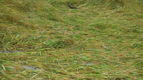 ಯಾರನ್ನು ಸಂಪರ್ಕಿಸಬಹುದು?