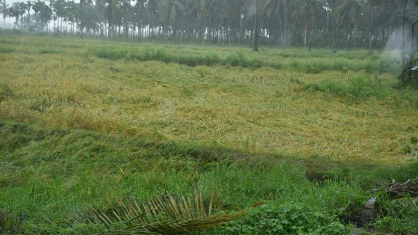 ಯಾವ ದಾಖಲೆಗಳು ಬೇಕಿದೆ