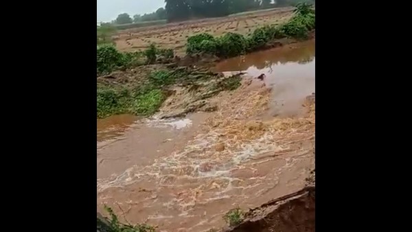Heavy Rains Lash Across Chitradurga 
