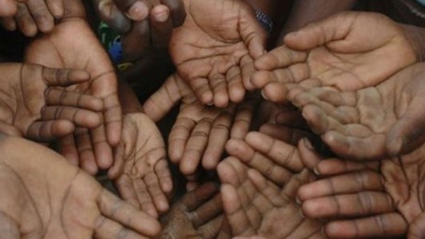 Nearly Half Population of Afghanistan in Acute Hunger, Says UN WFP 