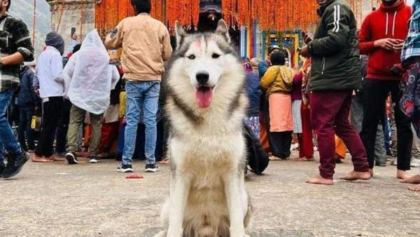  ಸಾಮಾಜಿಕ ಜಾಲತಾಣದಲ್ಲಿ ರೋಹಿತ್‌ಗೆ ಬೆಂಬಲ