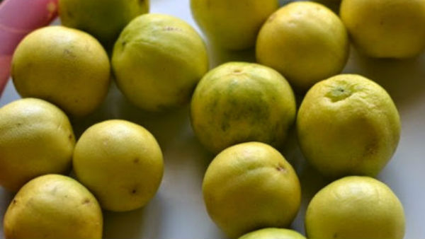 Lemon Scam in Punjab Jail: Officer Suspended