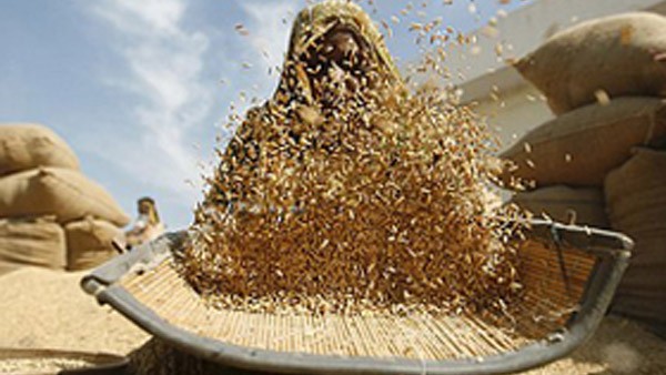  ಆಹಾರ ಮತ್ತು ಅಪೌಷ್ಠಿಕತೆಯ ನಿರ್ವಹಣೆ