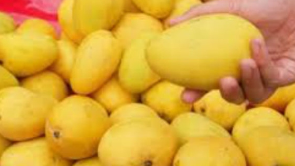 ಅಪಾರ್ಟ್‌ಮೆಂಟ್ ಸಂಘಗಳ ಜೊತೆ ಸಂಪರ್ಕ