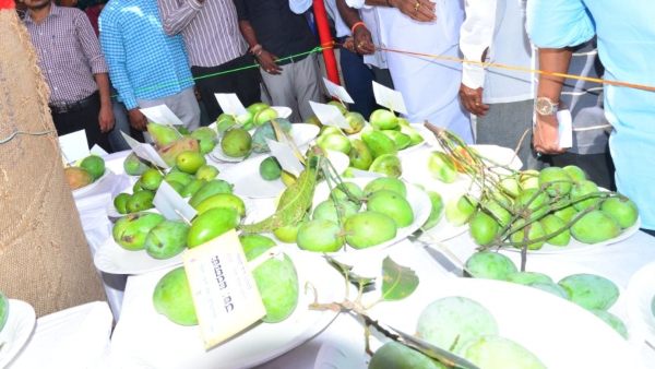 ರೈತರಿಗೆ ಉತ್ತಮ ಬೆಲೆ ಸಿಗಲಿದೆ