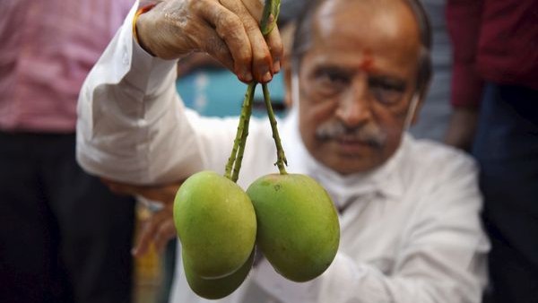 Karnataka govt KSMDMCL selling mangoes online Karnataka govt KSMDMCL selling mangoes online
