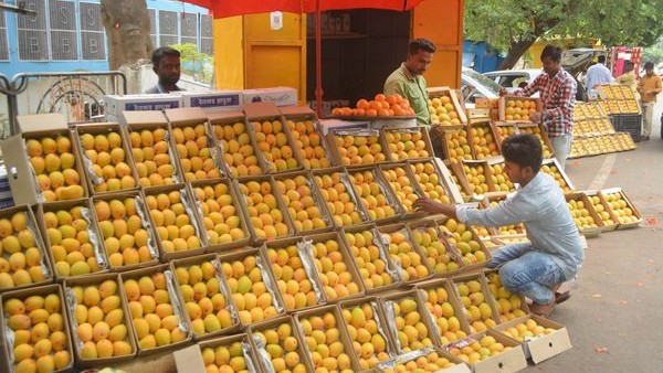 Karnataka govt KSMDMCL selling mangoes online Karnataka govt KSMDMCL selling mangoes online