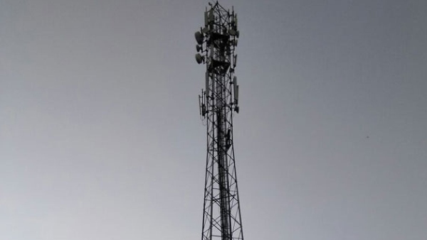 Wasps Save Life of Kerala Woman Who Threatened to Jump from Tower Wasps Save Life of Kerala Woman Who Threatened to Jump from Tower