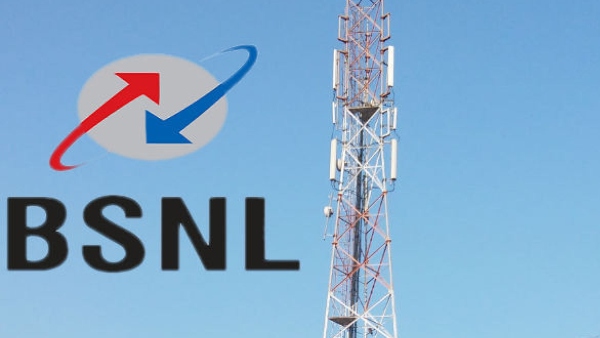 Wasps Save Life of Kerala Woman Who Threatened to Jump from Tower Wasps Save Life of Kerala Woman Who Threatened to Jump from Tower