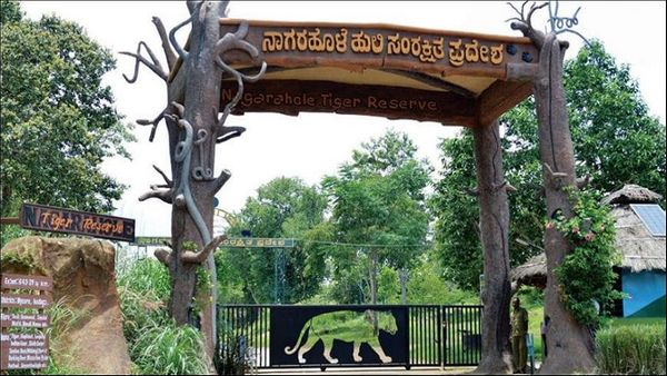 ಕಾಫಿ ತೋಟಕ್ಕೆ ಲಗ್ಗೆ ಇಡುವ ಸಾಧ್ಯತೆ 