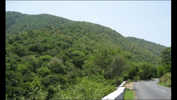 ನರಿಕಲ್ಲು ಮಾರಮ್ಮ ಯಾವುದರ ರೂಪದಲ್ಲಿದೆ? 