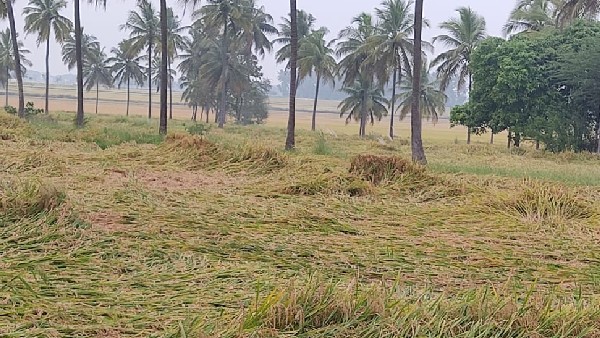 18.20 ಲಕ್ಷ ಅಂದಾಜು ನಷ್ಟ 