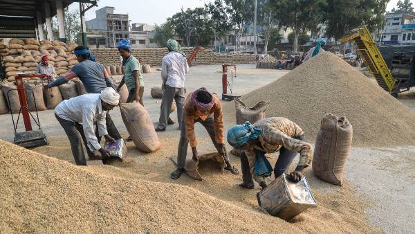 ಬಿತ್ತನೆ ಬೀಜಗಳನ್ನು ಉಪಯೋಗಿಸಬೇಕು