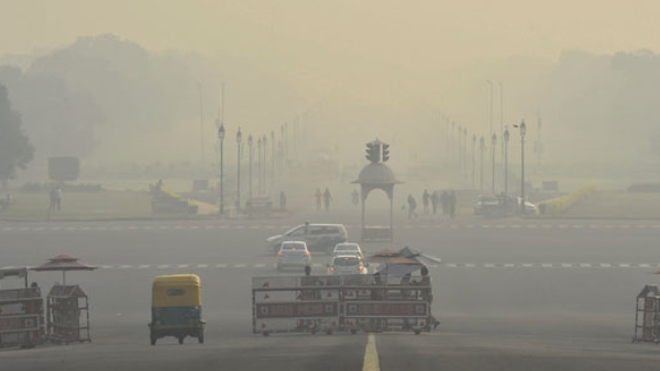 ಕೀಟನಾಶಕಗಳು ಕೂಡ ಅಪಾಯಕಾರಿ 