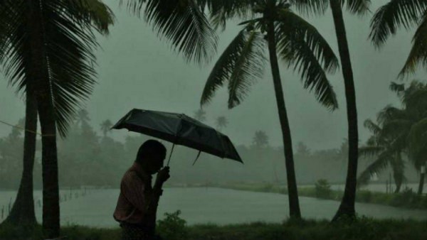 Davanagere: Heavy rain, wind: 300 arecanut trees Destroys