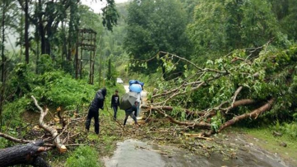 Assam: 1.97 lakh people affected by floods and landslides in 20 districts Assam: 1.97 lakh people affected by floods and landslides in 20 districts