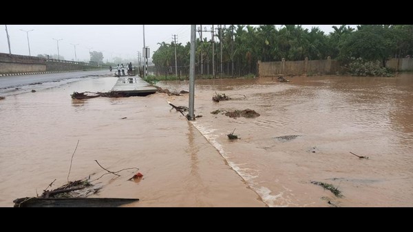 Heavy Rain In Davanagere Paddy Crop Damaged 