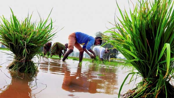 ಅನ್ನದಾತರಿಗೆ ಸಂತಸ