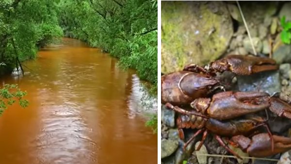  ಎಲ್ಲಿ? ಯಾಕೆ?