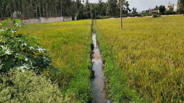 2019ರಿಂದ ಜಲ ಕಂಟಕ ಶುರು