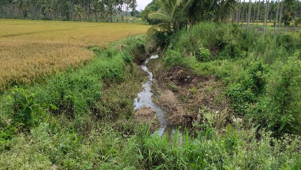 ಪ್ರತಿ ಮಳೆಗಾಲದಲ್ಲೂ ಮುಳುಗಡೆ ಭೀತಿ