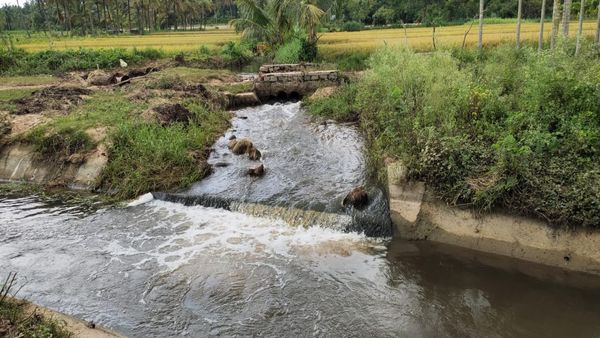 ಕಾಲುವೆ ಅಗಲ ಮಾಡಲು ಗ್ರಾಮಸ್ಥರ ಆಗ್ರಹ