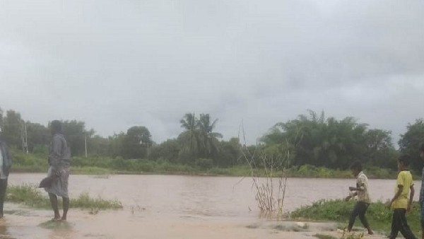 ಮಳೆಯಿಂದ ಕೊಚ್ಚಿ ಹೋದ ಬೆಳೆ 