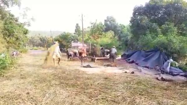 ಹುಲ್ಲಿನ ಕೊರತೆಯ ಆತಂಕ 