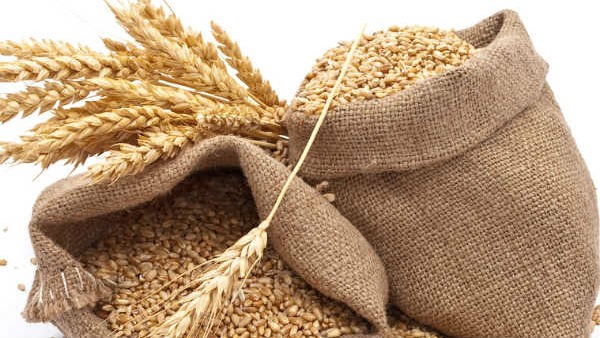 ರಷ್ಯಾ-ಉಕ್ರೇನ್ ಯುದ್ಧದ ಪರಿಣಾಮ: 