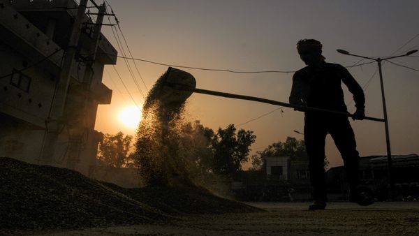 ಗೋಧಿ ರಫ್ತು ಮಾಡುವುದಿಲ್ಲವೇಕೆ ಭಾರತ? 