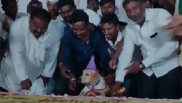 Karnataka man celebrates dogs birthday by cutting 100 kg cake Karnataka man celebrates dogs birthday by cutting 100 kg cake