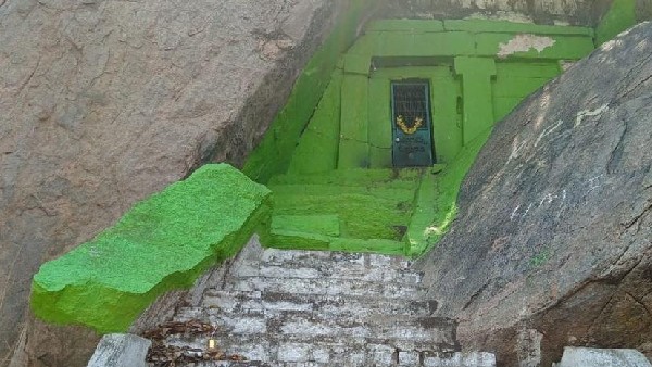 Mandya: Leopard enter premises of Sri Ramayogishwara Math in Baby Hill 