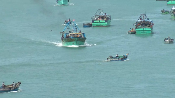 ಈ ಮೀನಿನ ಆಹಾರವೇನು? 