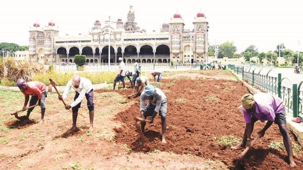 ಮ್ಯಾಟ್ ಅಳವಣಿಗೆ ಮ್ಯಾಟ್ ಅಳವಣಿಗೆ