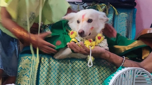 ಮುದ್ದಾದ ಆರೋಗ್ಯವಂತ ಶ್ವಾನ ಹುಟ್ಟಲಿ: ಜ್ಯೋತಿ